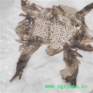 蟾蜍衣1张【至臻华美】中药材批发供应【蟾蜍衣】干蟾皮 癞蛤蟆皮图4