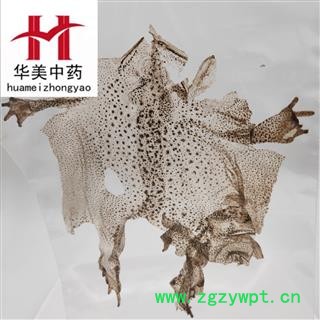 蟾蜍衣1张【至臻华美】中药材批发供应【蟾蜍衣】干蟾皮 癞蛤蟆皮图2