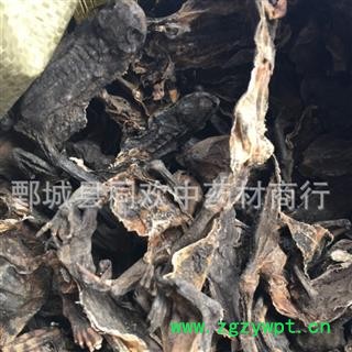 【干蟾蜍  蟾皮】@【同欢药材】中药材批发供应  规格齐全 量大从优  产地 山东省图2