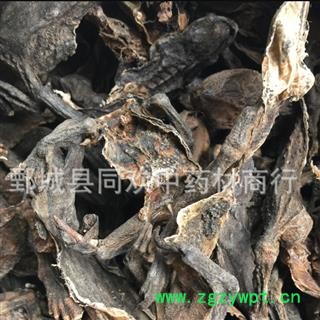 【干蟾蜍  蟾皮】@【同欢药材】中药材批发供应  规格齐全 量大从优  产地 山东省图3