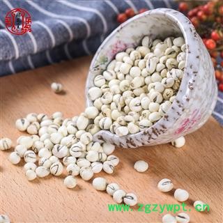 川贝母 统货 四川人工种植川贝瑞芝堂产地直销图2