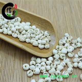 无硫川贝母（松贝母）大开花贝 药食同源滋补品专注品质，诚信信邦！图2