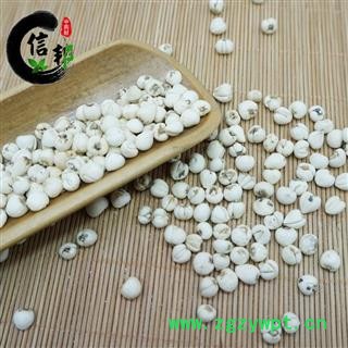 正宗川贝母川贝川松贝统货产地四川省专营贵细类冷被偏门专注品质,诚信信邦!图4