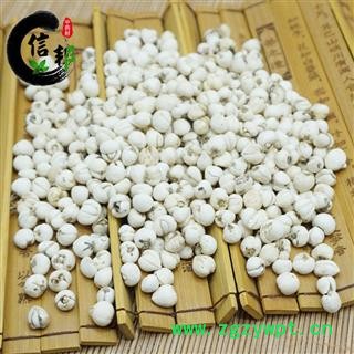 正宗川贝母川贝川松贝统货产地四川省专营贵细类冷被偏门专注品质,诚信信邦!图2