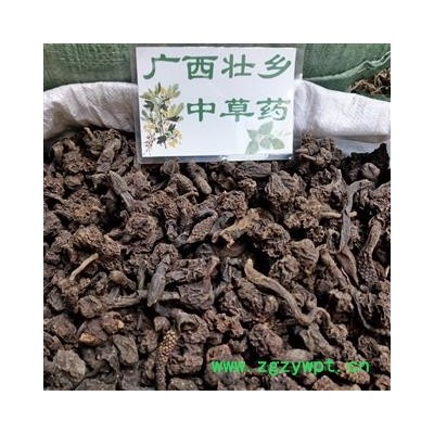 广西壮乡中草药 野生 无硫 小统货 草苁蓉 顶天柱 不老草 回春草 壮阳草 不老根 产地 广西柳州