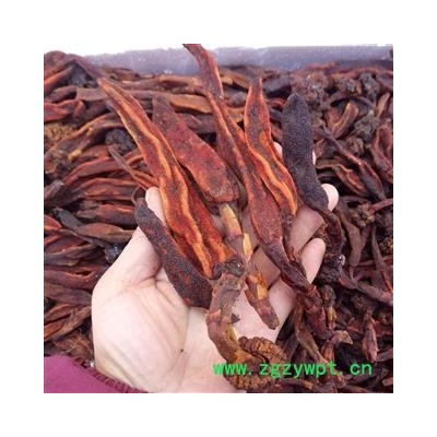 广西壮乡中草药 野生 好统货 草苁蓉 顶天柱 不老草 回春草 壮阳草 不老根 产地 广西柳州