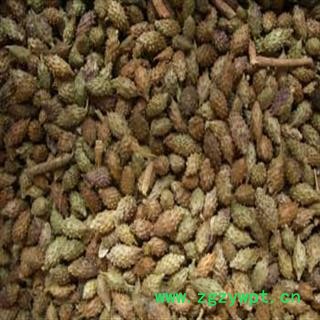 苍耳子 统货 产地 河南省图2