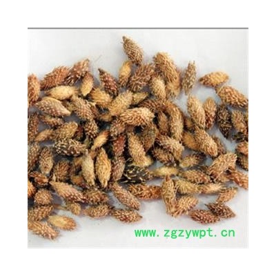 苍耳子 统货 产地 河南省