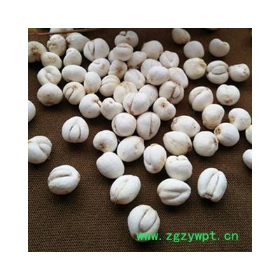 小丽百草行川贝 本色松贝怀中抱月手选