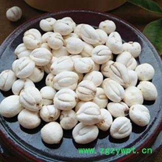 小丽百草行川贝 本色松贝怀中抱月手选图2