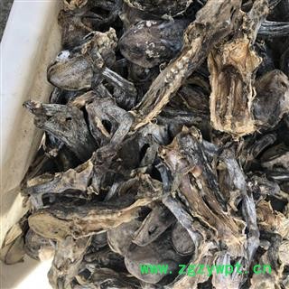 蟾蜍 干蟾蜍统个 干蟾皮 干蟾衣 新货   产地 山东省 娟子中药材 买好药材找娟子图3