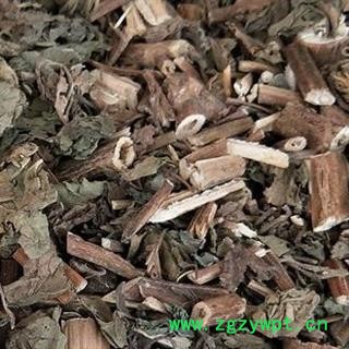 圣草康园苍耳草  苔耳 卷毛子 老苍子 胡苍子 饿虱子 苍棵子图2