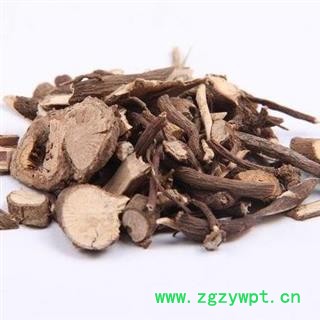 八爪金龙  百两金，八爪龙，八爪根，铁雨伞 统货 产地 四川省图2