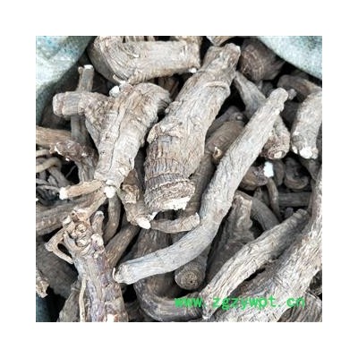 白芷个 白芷个顶级无硫选个 产地 安徽省亳州市