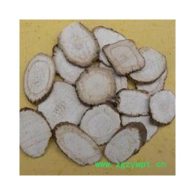 无硫白芷 片1000克促销批发无硫白芷大选片2.0 产地 安徽省亳州市谯城区 大货批发价