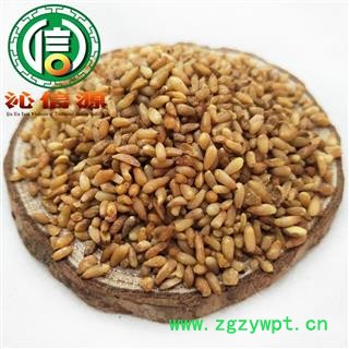 【满包邮】柏子仁选货散装山东产地直供沁信源中药批发图4