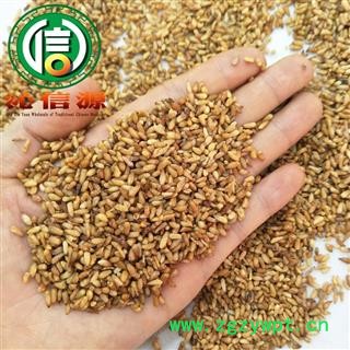 【满包邮】柏子仁选货散装山东产地直供沁信源中药批发图2