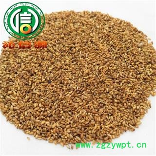 【满包邮】柏子仁选货散装山东产地直供沁信源中药批发图3