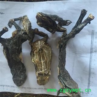干蟾蜍统个 干蟾皮 干蟾衣 质量好 价格低  产地直销  产地 山东省图2