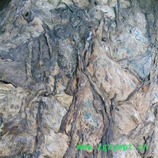 蟾蜍衣 干蟾蜍皮 产地 辽宁省图2