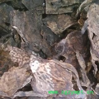 蟾蜍衣 干蟾蜍皮 产地 辽宁省图3