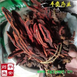 回春草 野0.5kg价格 草苁蓉 顶天柱 不老草 回春草 壮阳草 不老根 文王一支笔图2