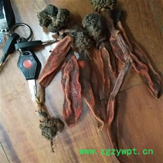 诺源药材行青海草苁蓉 回春草 金笋 不老草图2