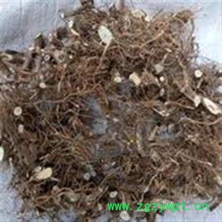 新辉药业野生中药材苍耳 苍耳草 苍耳草根图2