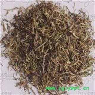 中药材 扁蓄 扁竹 竹节草 乌蓼 蚂蚁草图2