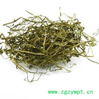 半枝莲   半支莲 半枝连 铁树叶 中药材供应图3