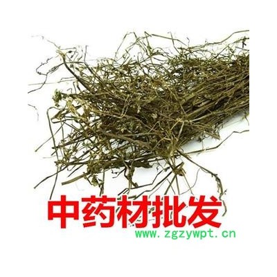 半枝莲   半支莲 半枝连 铁树叶 中药材供应