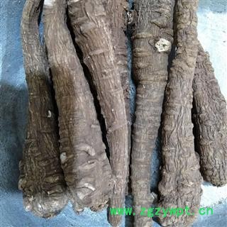 白芷 川白芷统个 产地 四川省图3