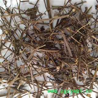 半枝莲干净无杂质正品保证质量7天无理由退货退款 中药材批发丽丽药业图3