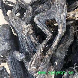 蟾蜍 干蟾蜍统个 干蟾皮 干蟾衣 产地 山东省 买好药找娟子图3