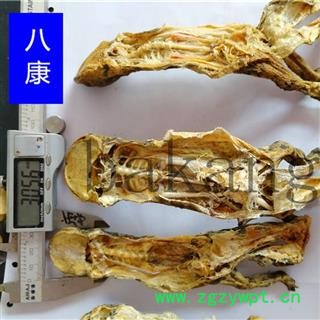 蟾蜍 个产地 山东省枣庄市图2