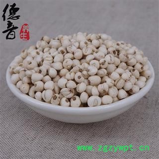 【满包邮】水洗无硫川贝母（松贝母） 珍珠贝0.5mm 四川松潘县 产地直供 正品 中药材批发图4