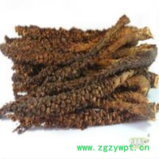 小丽百草行草苁蓉 不老草 无污染大条，小条图2