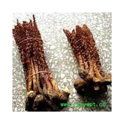 小丽百草行草苁蓉 不老草 无污染大条，小条