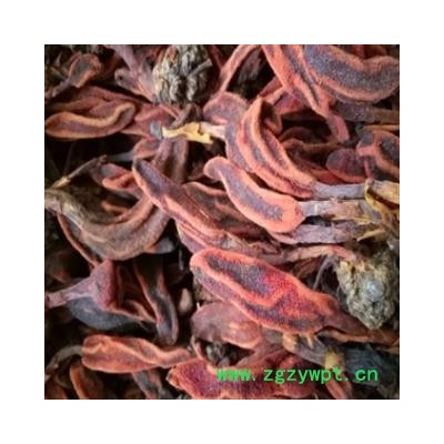 安祁名药正品野生草苁蓉 回春草