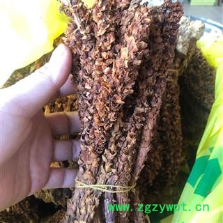 草苁蓉 不老草 草苁蓉大条 大花列当 产地 吉林省 买好药找娟子图4