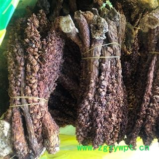 草苁蓉 不老草 草苁蓉大条 大花列当 产地 吉林省 买好药找娟子图3