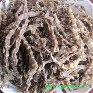 圣草康园地参 虫草参 地龙菜 高山地参干货九节参泽兰桶九阳草雪参图2