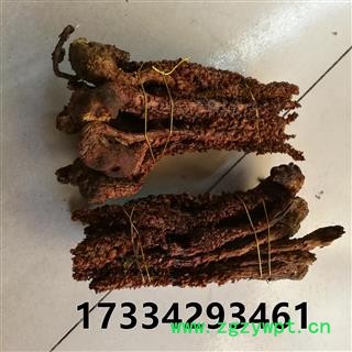 草苁蓉 不老草 新货 无污染图4