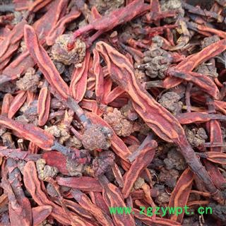 广西壮乡中草药 野生 好选货 草苁蓉 顶天柱 不老草 回春草 壮阳草 不老根 产地 广西柳州