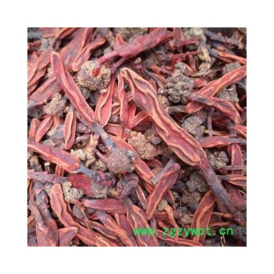 广西壮乡中草药 野生 好选货 草苁蓉 顶天柱 不老草 回春草 壮阳草 不老根 产地 广西柳州