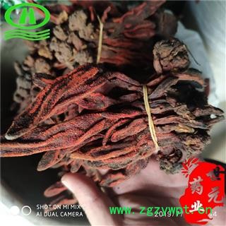 世元药业 回春草 正品野 草苁蓉 文王一支笔 不老草 草龙鞭图2