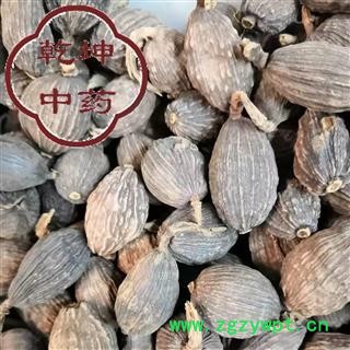 草果 云南草果   统货 高含量 产地 云南省【品种齐全 诚信经营】图2