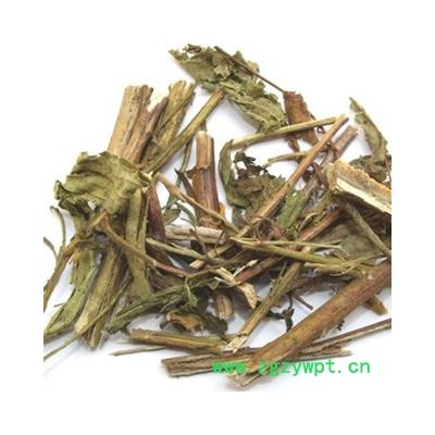 臭灵丹草臭菜 侧耳根 臭根草 臭灵丹 六耳棱 六耳消  统货 产地 安徽省