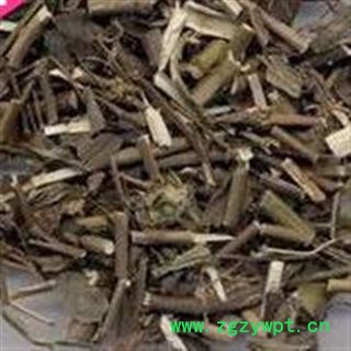 小丽百草行 柴胡苗 柴胡梗 硬苗柴胡 柴胡草图2