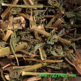 诺源中药材正品臭灵丹草 狮子草 臭叶子 六棱菊 大黑药图2